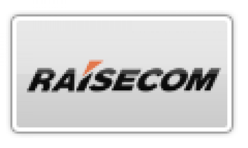 icons-partners-raisecom